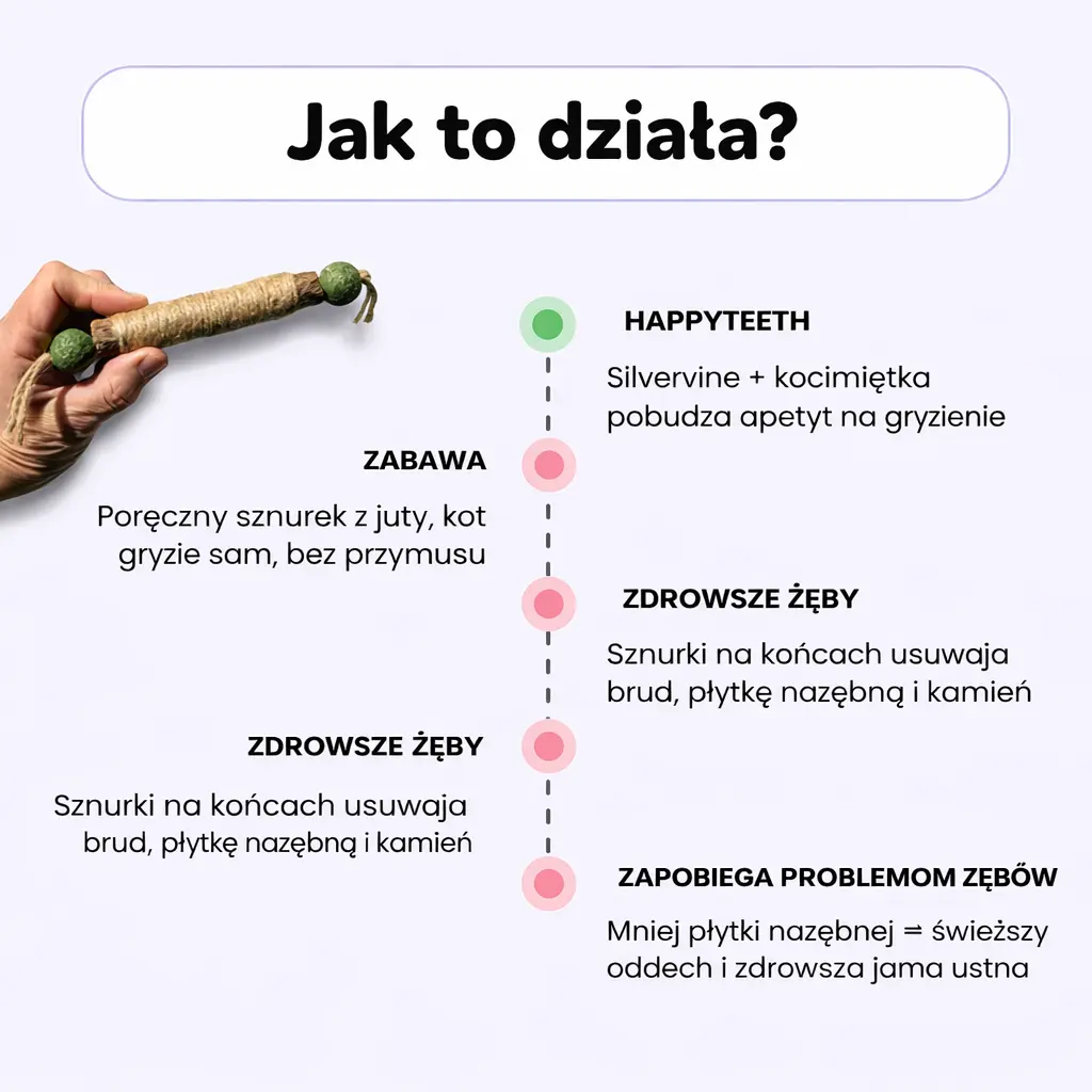 Gryzolek– Ochrona zębów twojego kota