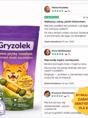 Gryzolek– Ochrona zębów twojego kota