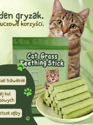 Gryzolki– Ochrona zębów twojego kota